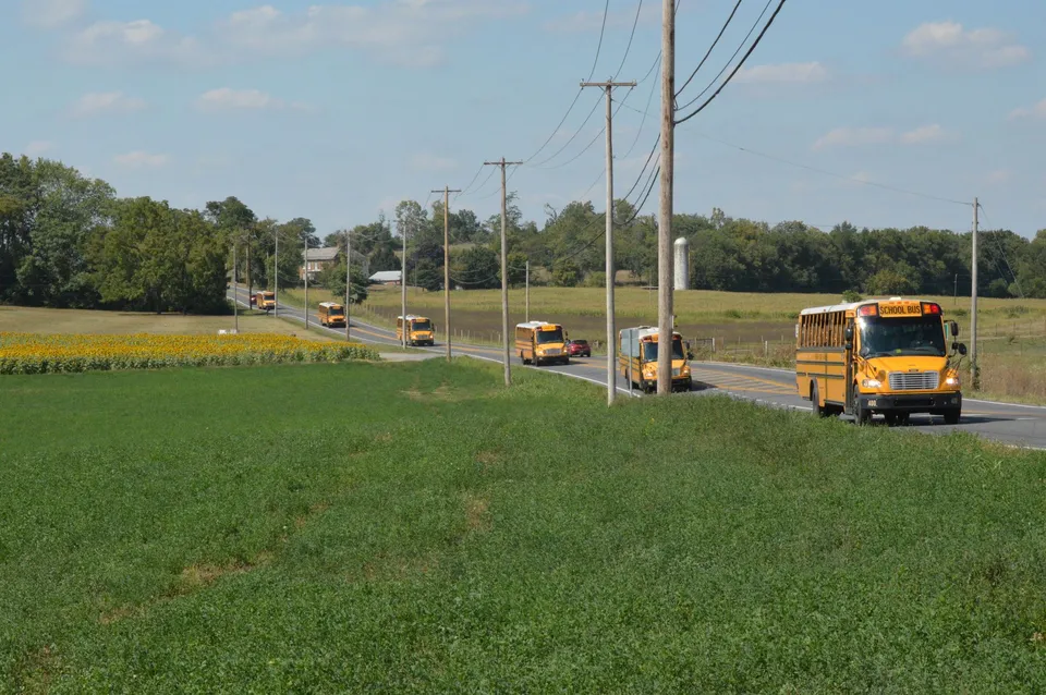 A line of yellow school buses travels down a rural country road under a clear blue sky.