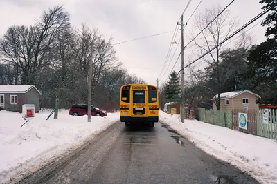 A school bus on a snowy rural road, winter landscape, trees, houses, and overcast sky.