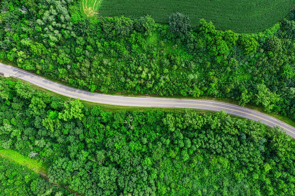 Aerial view of a winding road through lush green countryside in Goodhue, Minnesota.